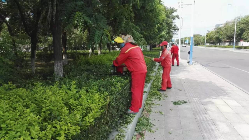 丹江口物业公司:守护城市温暖的脉搏